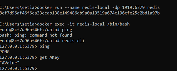 Beginners Journey To Docker Redis Image In .NET